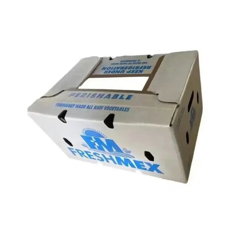 Kotak Kertas Lilin Biodegradable